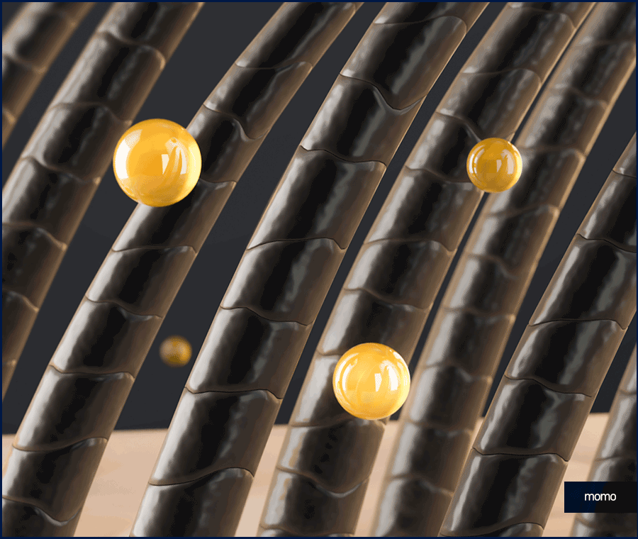 모발 굵어지는 효과적인 방법 3가지 알아보기 관련 이미지 10