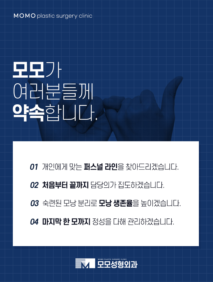 30대 정수리 탈모 초기 증상부터 대응 방법까지 관련 이미지 9