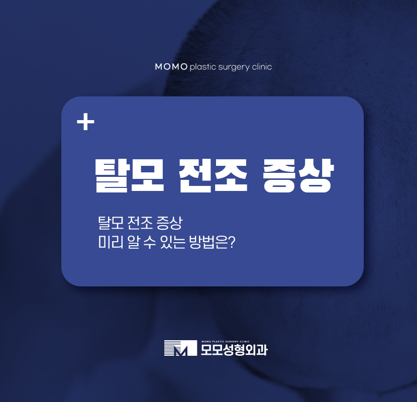 탈모전조증상 미리 알 수 있는 부분은 관련 이미지 1