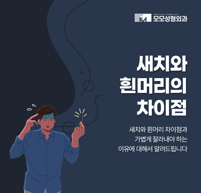 새치 흰머리 차이와 가볍게 잘라내야 하는 이유 관련 이미지 1