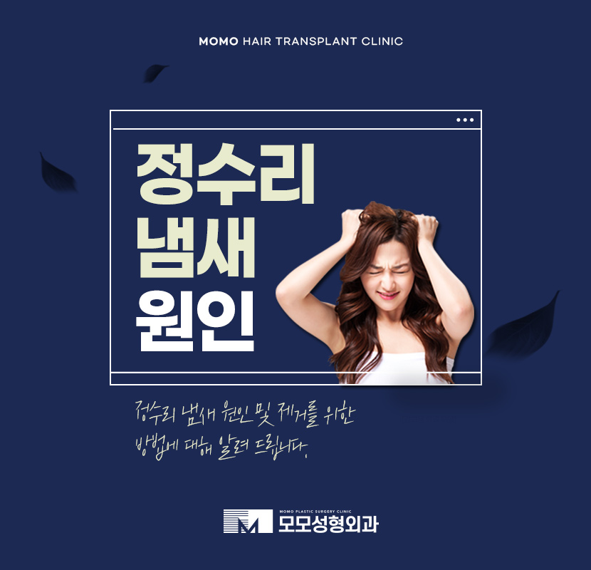 정수리 냄새 원인과 제거하기 위한 방법은 관련 이미지 1