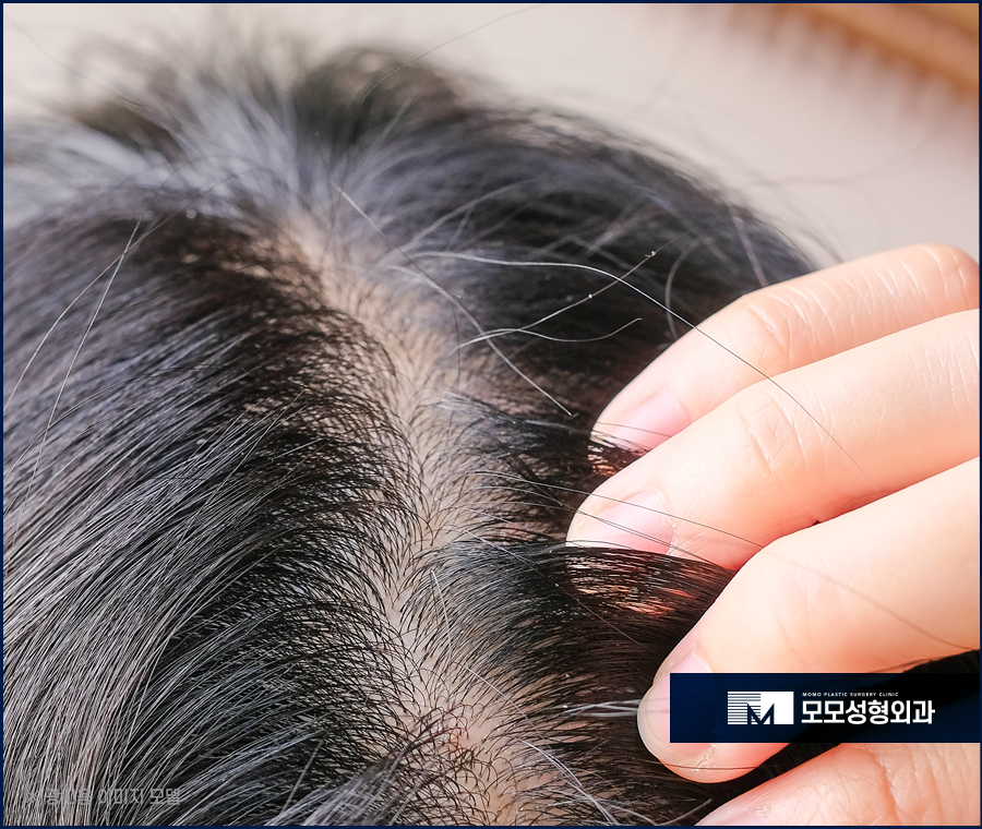 머리안말리고자면 어떤 문제들이 생겨날까 관련 이미지 7