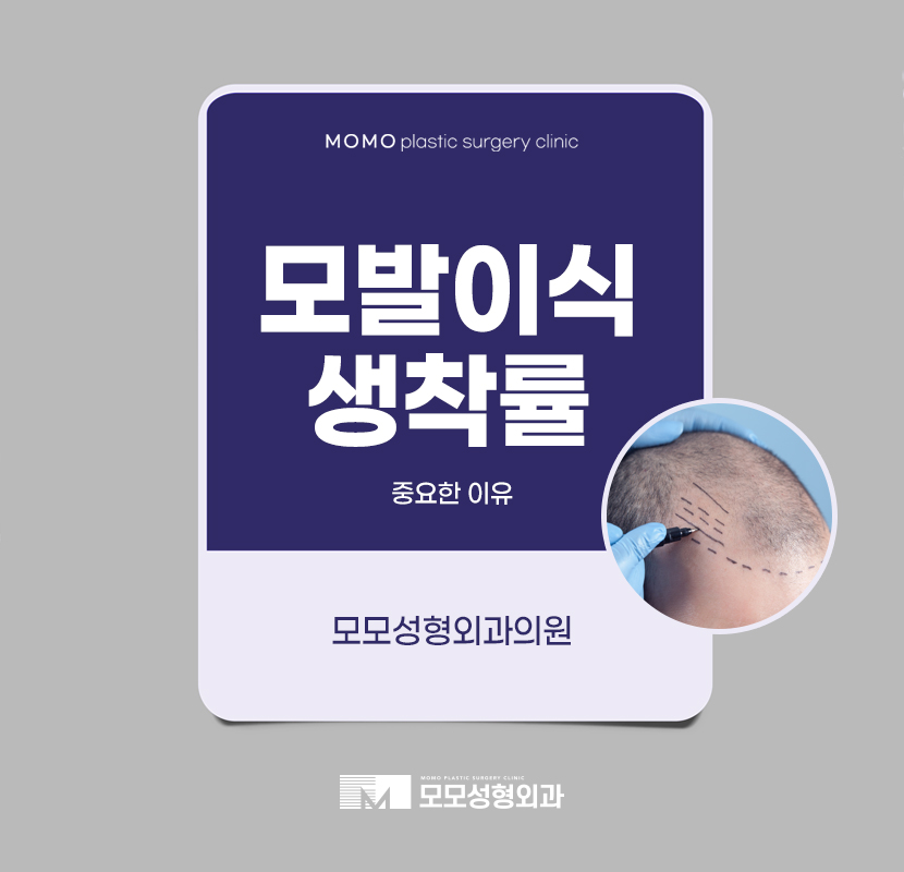 모발이식생착률 높일 수 있는 방법 관련 이미지 1