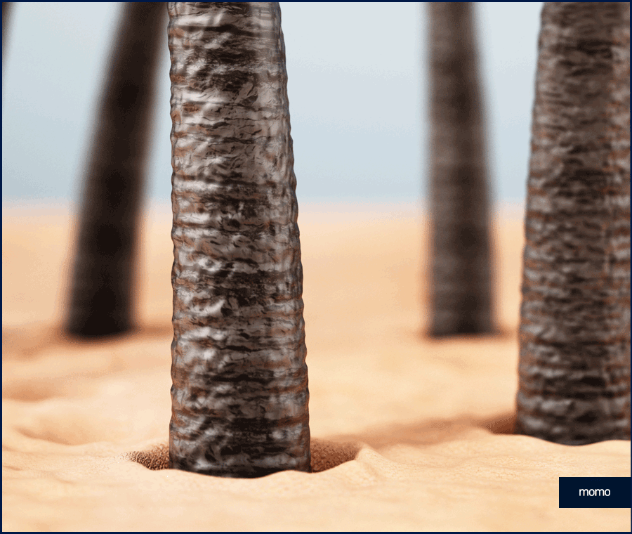 여자 가르마 탈모 모발이식으로 효과보려면? 관련 이미지 10