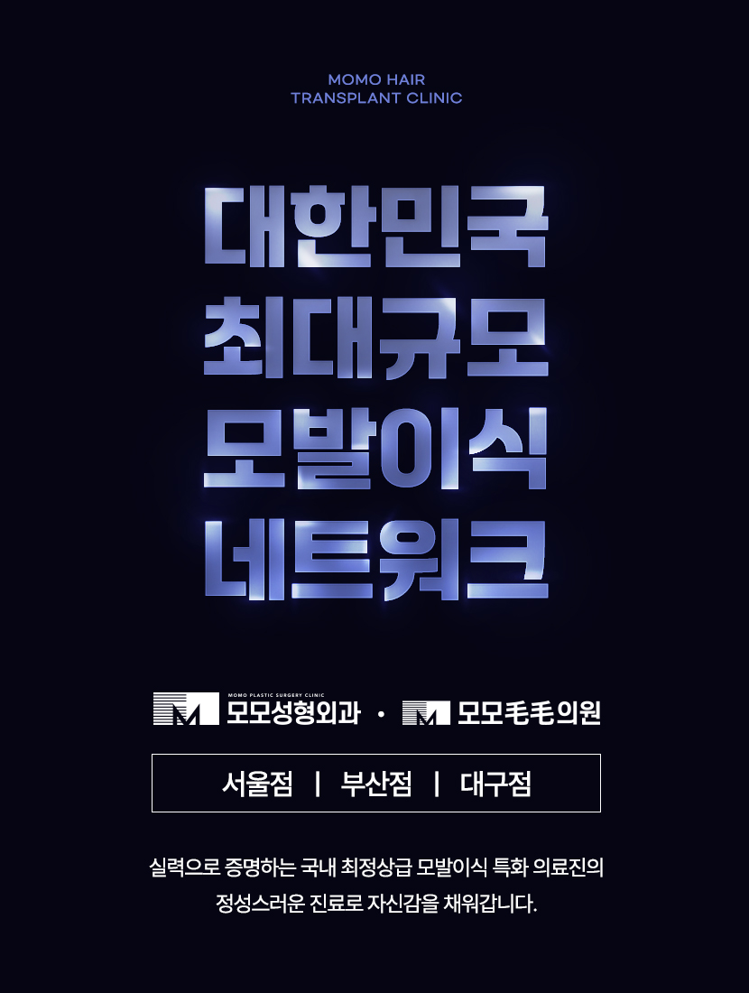 헤어라인 교정 비용 및 방법 디자인의 중요성 관련 이미지 13