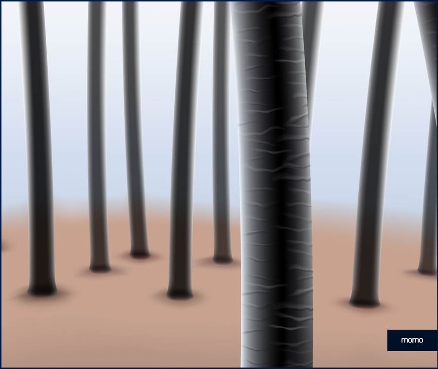 모발이식잘하는곳 찾는 결정적인 기준 관련 이미지 3