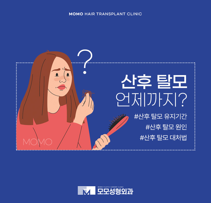 산후 탈모 언제까지 유지되는지 원인 및 대처법 관련 이미지 1