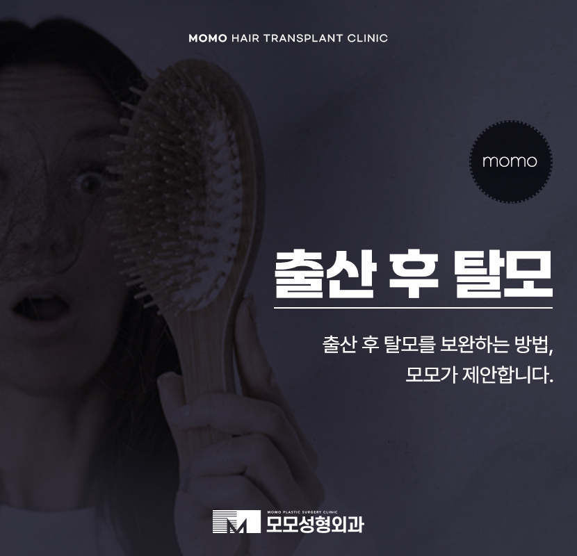 출산후 탈모 자연스럽게 보완하는 방법은 관련 이미지 1