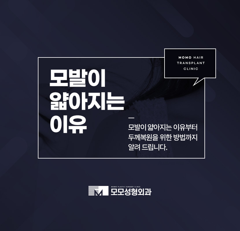 모발 얇아짐 이유와 두께를 복구하는 방법 관련 이미지 1