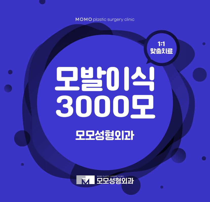 모발이식3000모 밀도를 높여가며 관련 이미지 1