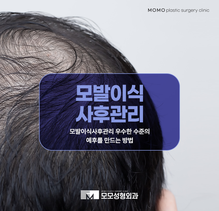 모발이식사후관리 우수한 수준의 예후를 만드는 방법 관련 이미지 1