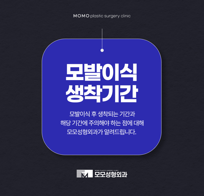 모발이식생착기간 기준에 대해서 관련 이미지 1