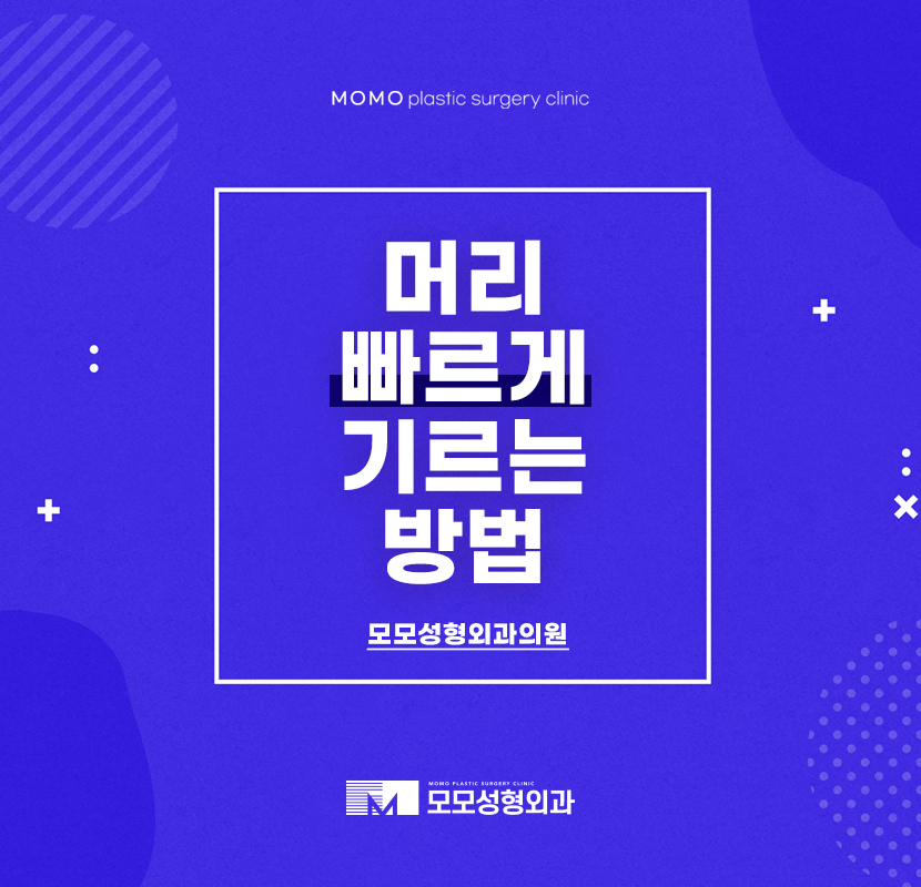 머리빨리기르는법 효과적인 방안은 관련 이미지 1