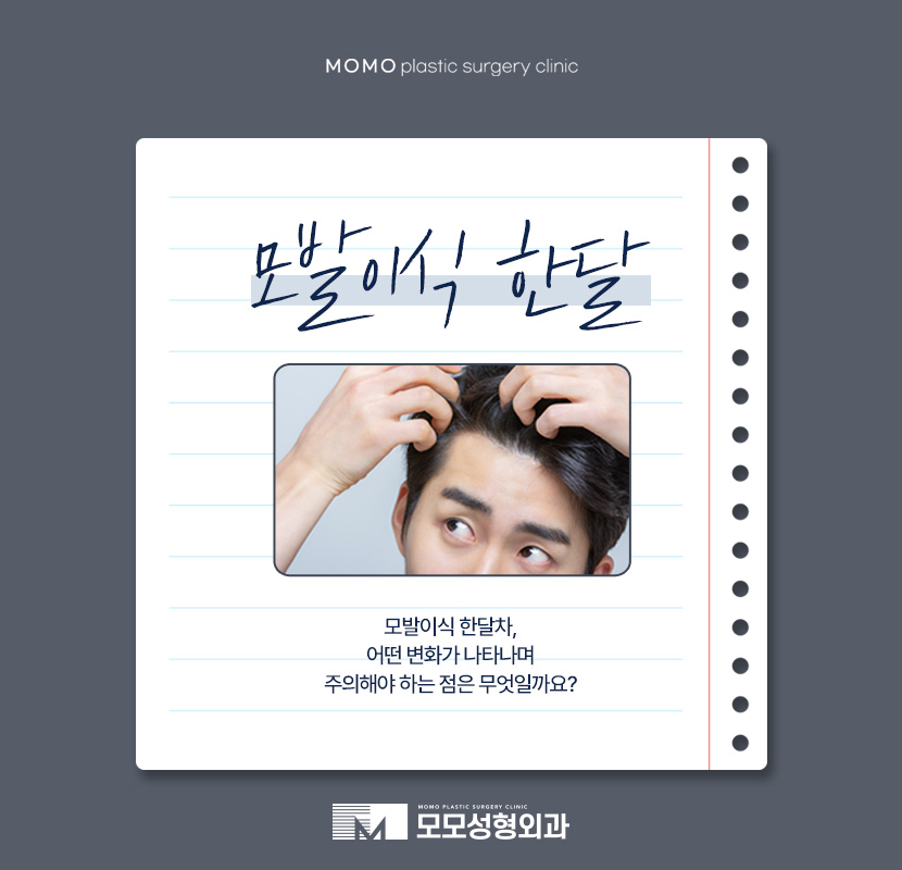 모발이식 한달 어떤 변화가 나타나며 주의할 점은 관련 이미지 1