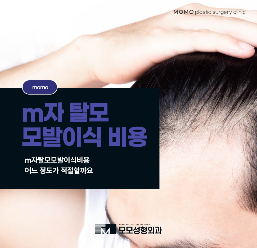 m자탈모모발이식비용 어느 정도가 적절할까요 관련 이미지 1