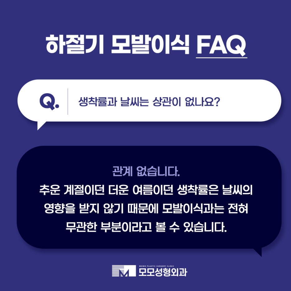 하절기 모발이식 FAQ 모모와 함께 알아보세요 관련 이미지 7