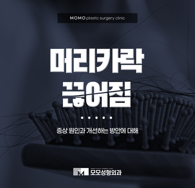 머리카락끊어짐 원인과 개선 방안 관련 이미지 1