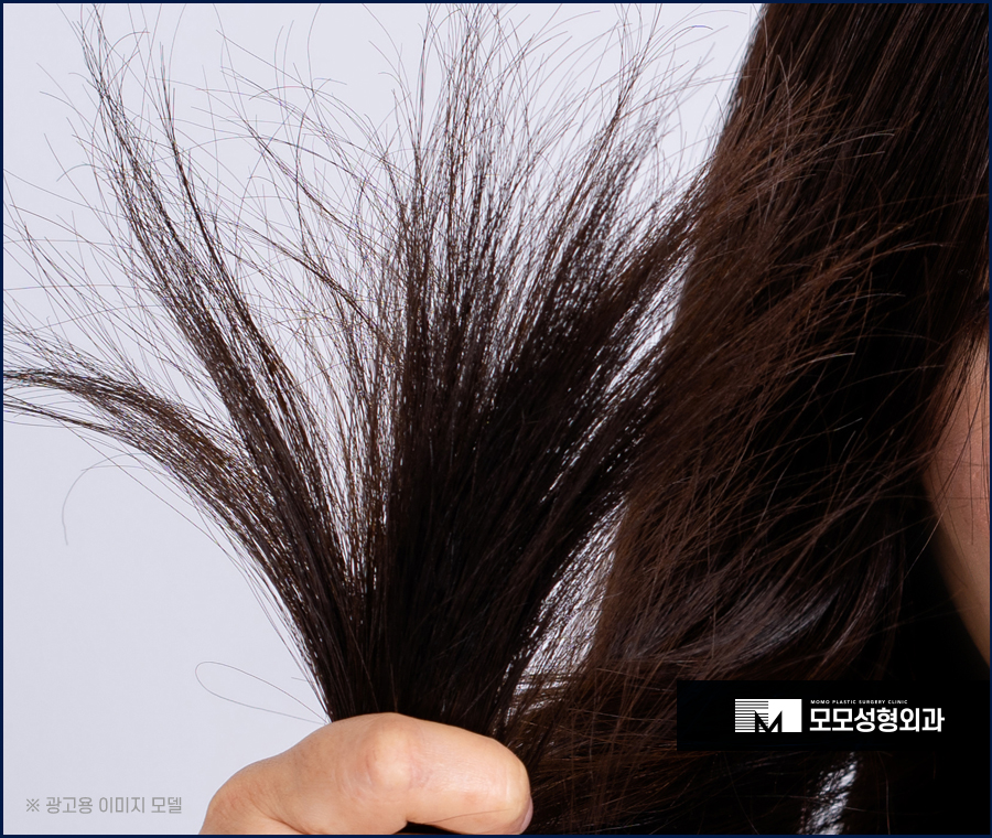 머리카락 끝 갈라짐 이유와 손상에 대처하는 방법까지 관련 이미지 4