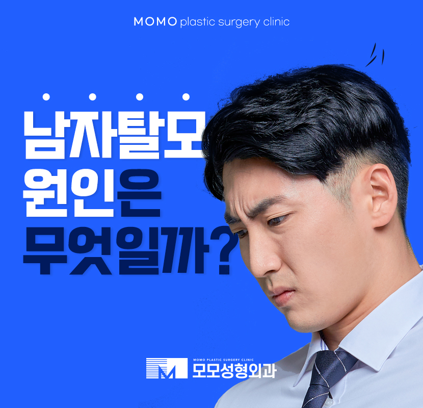 남자탈모원인 근본적인 해결을 목적으로 관련 이미지 1