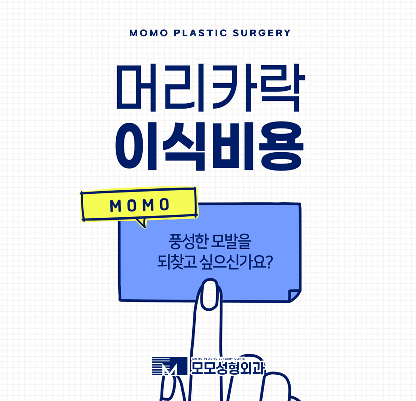 머리카락이식비용에 치중하기보단 관련 이미지 1