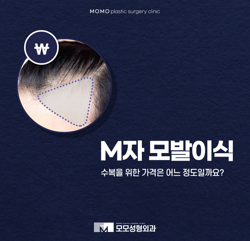 M자모발이식가격 참고해야 할 사항은 관련 이미지 1