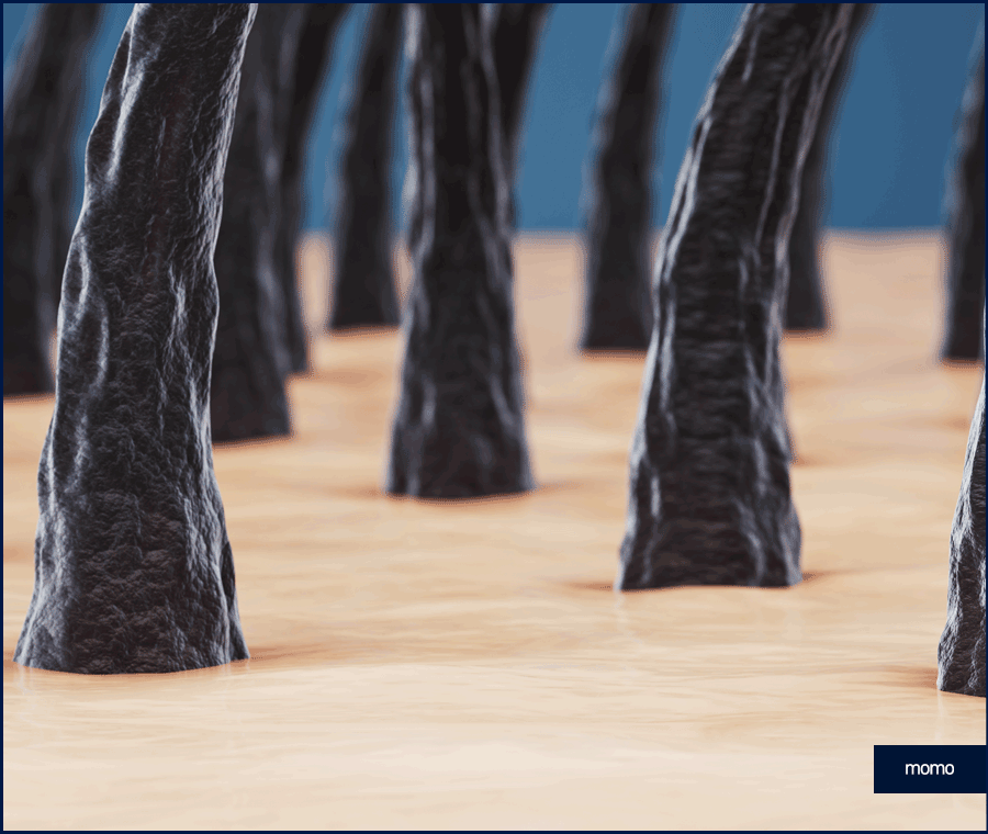 서울 탈모 성지 풍성함을 만들기 위한 방법 2가지 관련 이미지 3