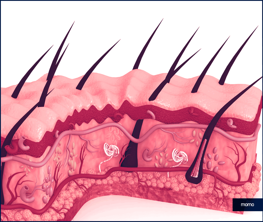 비절개모발이식가격 확인보다 중요한 점 관련 이미지 5