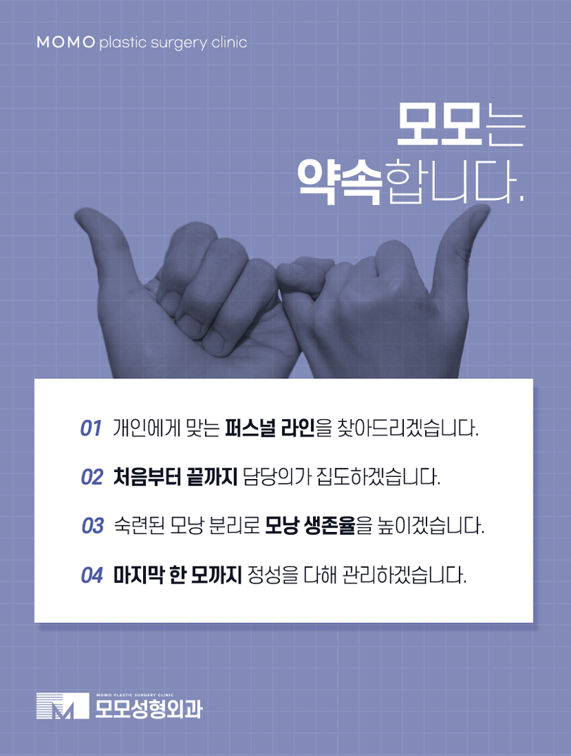 압구정모발이식 결과를 우수하게 만드려면 관련 이미지 6