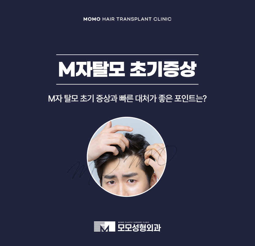 m자탈모초기 현상과 빠르게 대처하면 좋은 포인트는 관련 이미지 1
