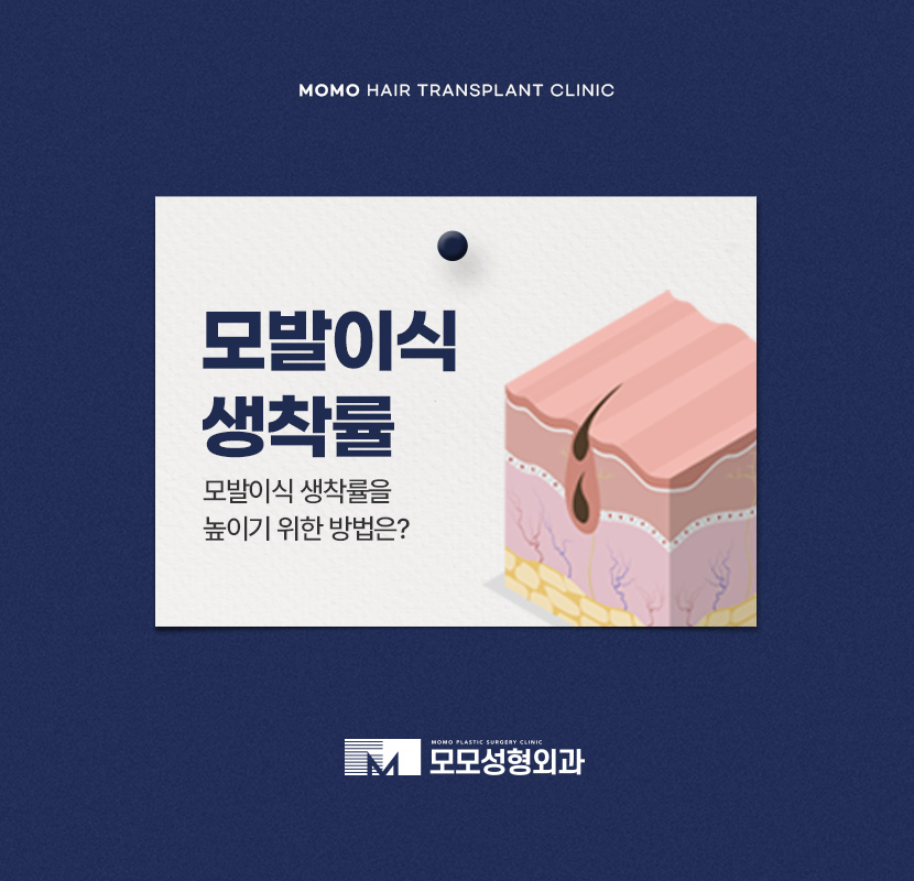 모발이식 생착률 극대화 하려면 관련 이미지 1
