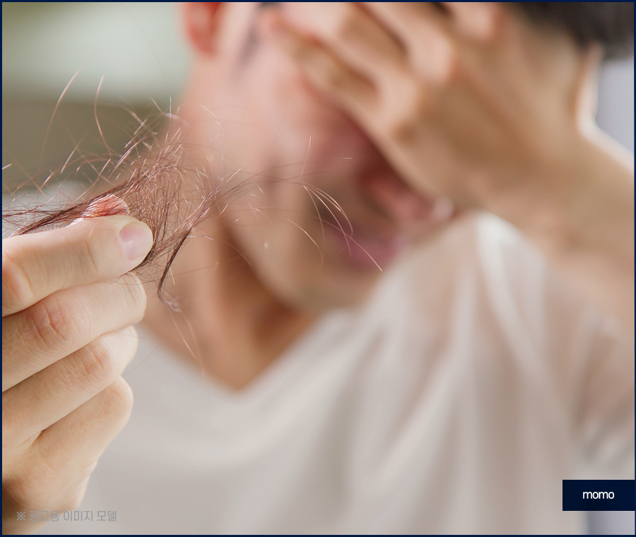 비절개 모발이식 비용 무삭발로 회복까지 빠르게 관련 이미지 5