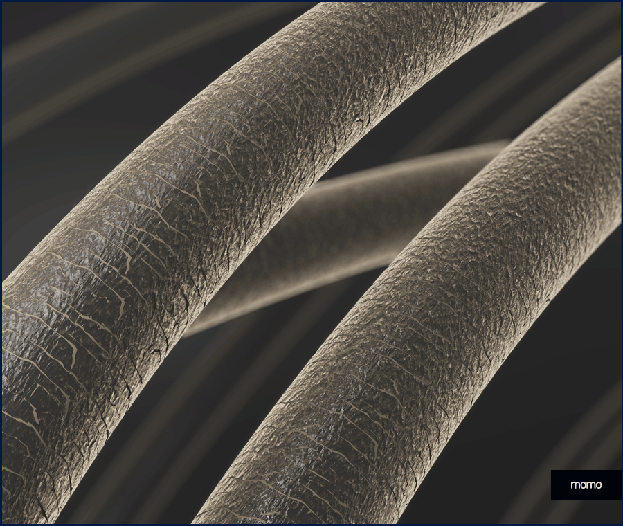 모발 굵어지는 효과적인 방법 3가지 알아보기 관련 이미지 11