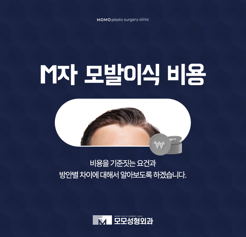 M자모발이식비용이 달라지는 기준과 방식의 차이에 대해 관련 이미지 1