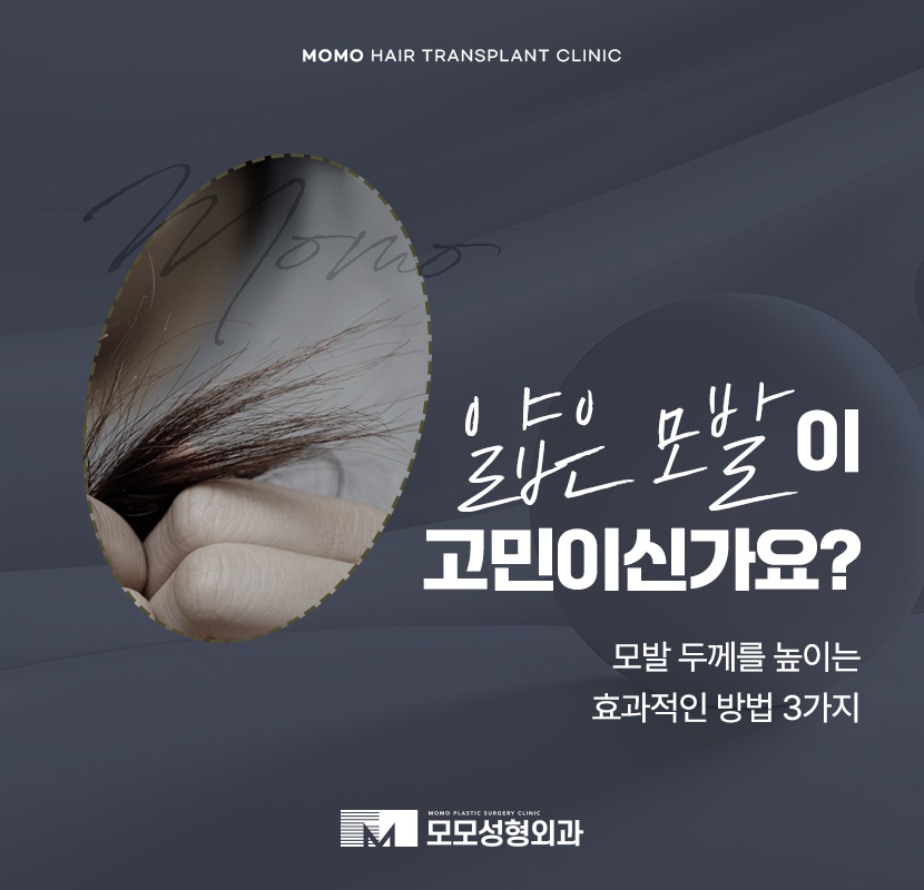 모발 굵어지는 효과적인 방법 3가지 알아보기 관련 이미지 1