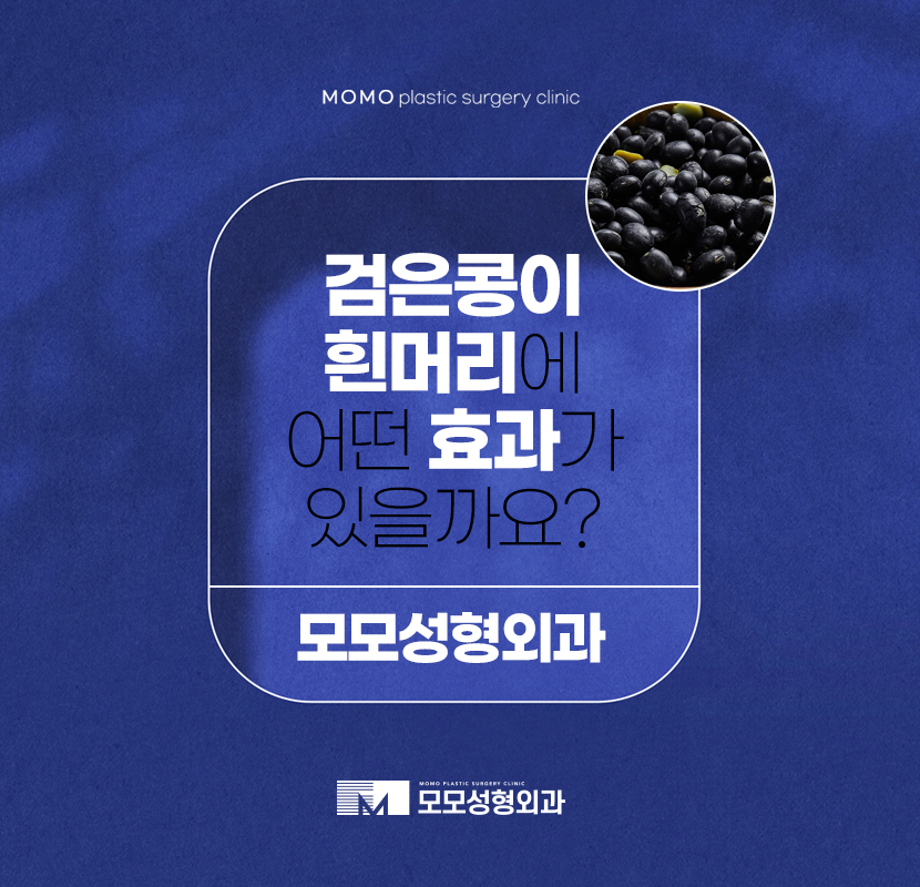 검은콩흰머리 효능에 대해 궁금하다면 관련 이미지 1