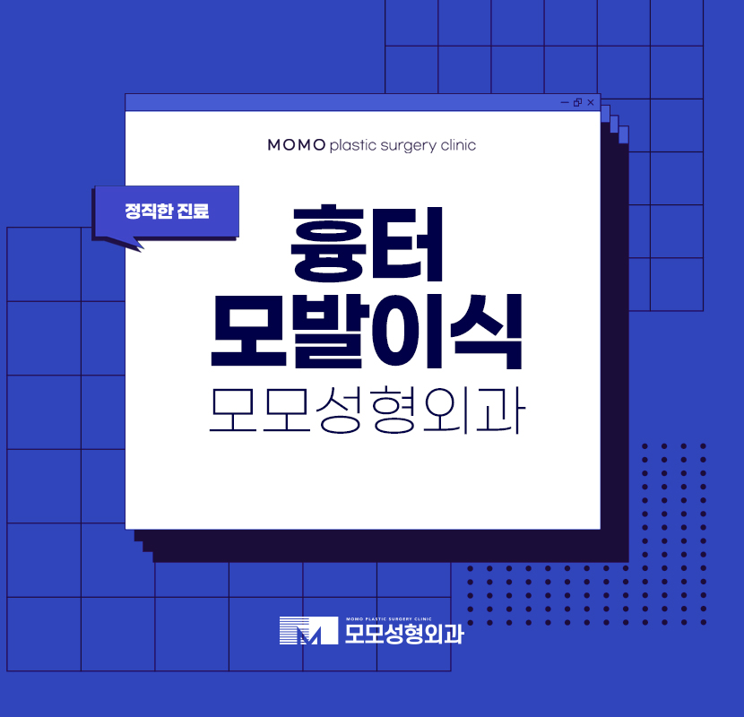 흉터모발이식 남아있는 흔적을 지워낸 관련 이미지 1
