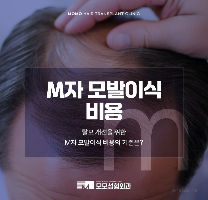 M자모발이식비용 가격 탈모 탈출을 위한 관련 이미지 1