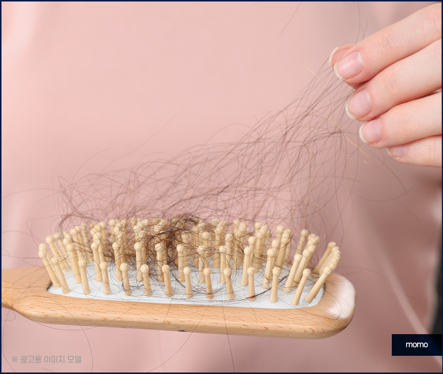 강남 모발이식 정교하게 보완하는 관련 이미지 3