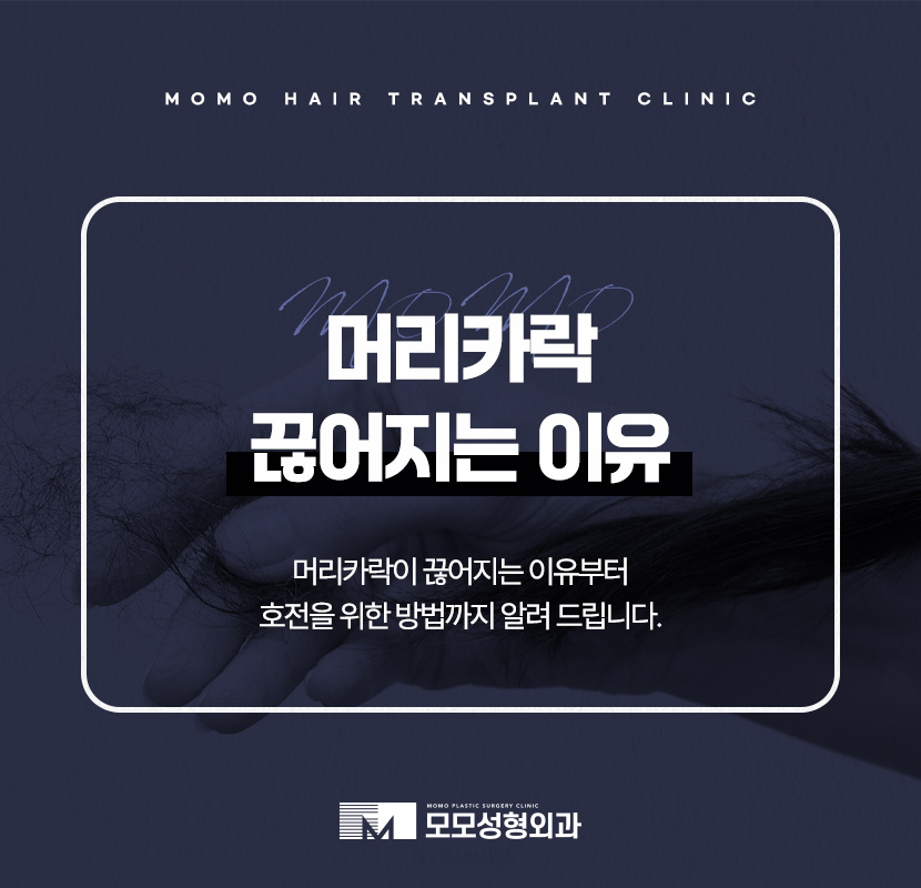 머리카락 끊어짐 이유부터 호전을 위한 Tip 관련 이미지 1