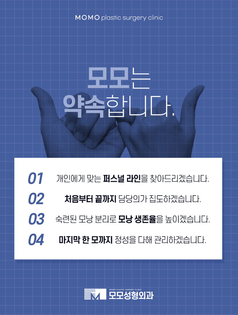 강남역모발이식 꼼꼼히 보강하기 위해서는 관련 이미지 7