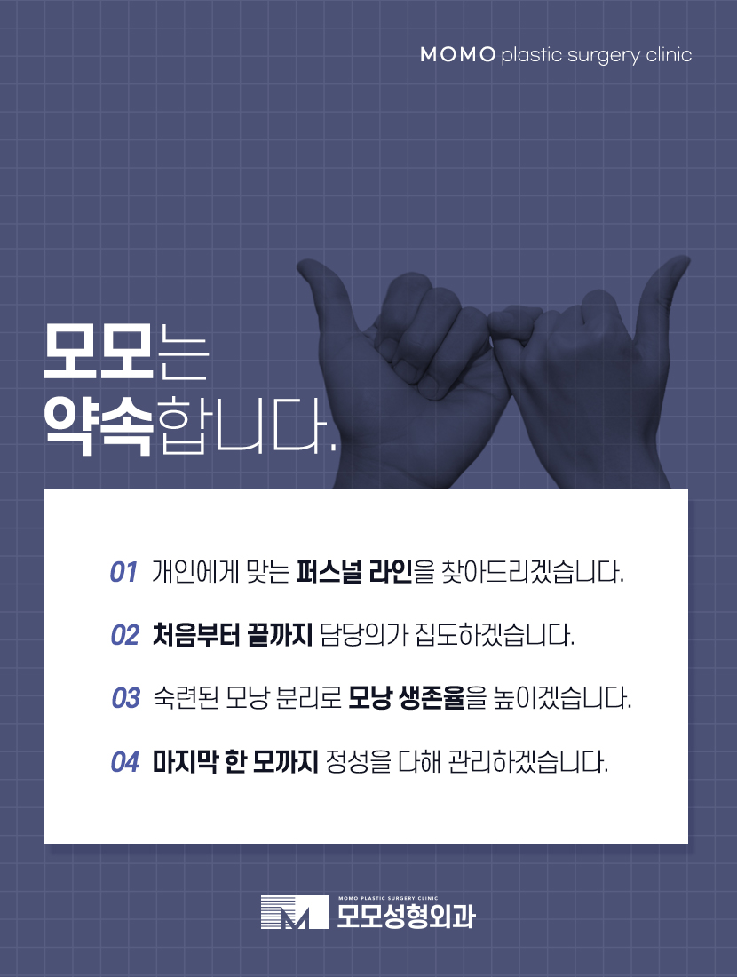 여성모발이식비용 알아 볼 때 고려해야 하는 점 관련 이미지 6