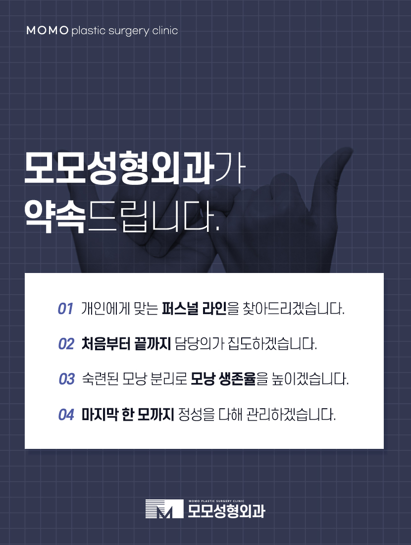 M자모발이식가격 충분한 보강을 원한다면 관련 이미지 9