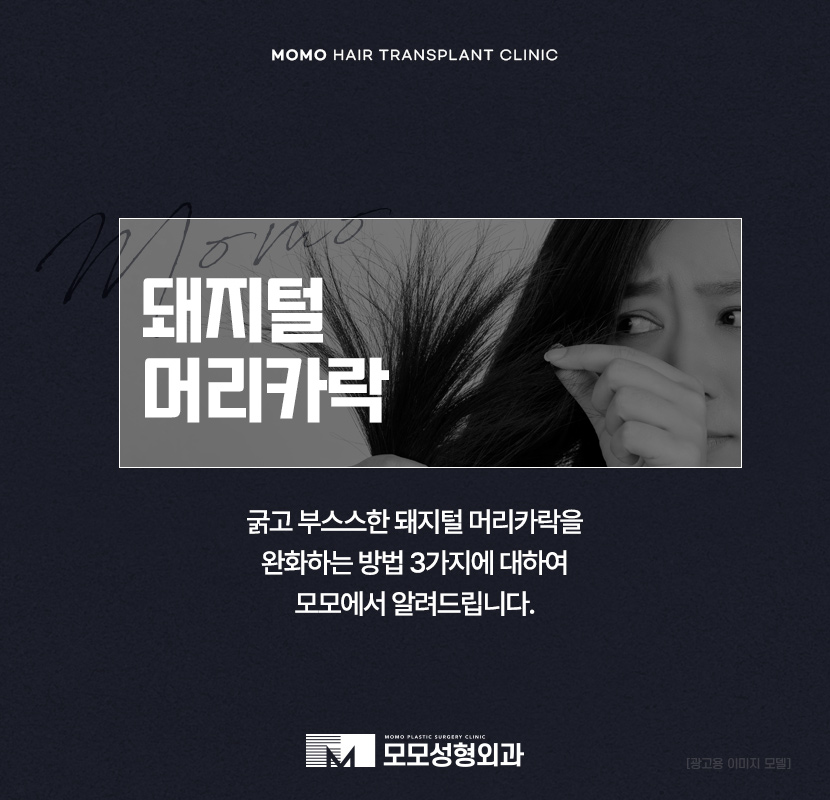 돼지털 머리카락 원인 및 완화하는 방법 3가지 관련 이미지 1