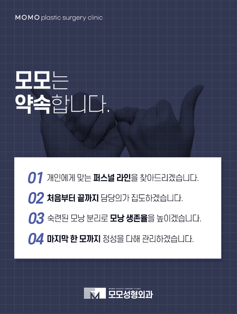 모발이식4000모 양보다 집중해야 하는 부분 관련 이미지 5