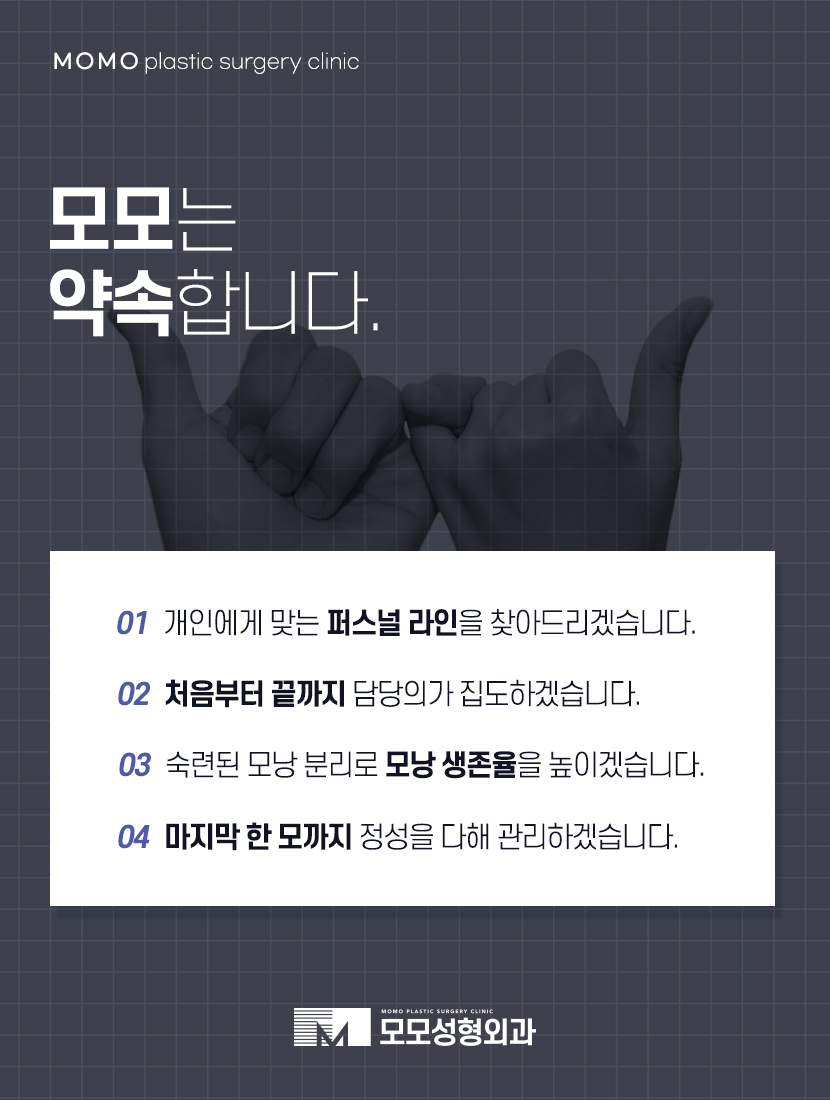 여자M자이마탈모 개인맞춤 진행의 중요성에 대하여 관련 이미지 7