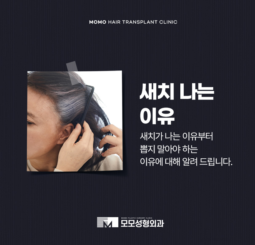 새치나는이유부터 뽑지 말아야 할 이유까지 관련 이미지 1