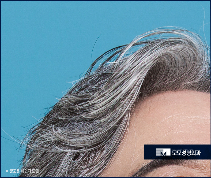 검은콩흰머리 효능에 대해 궁금하다면 관련 이미지 5