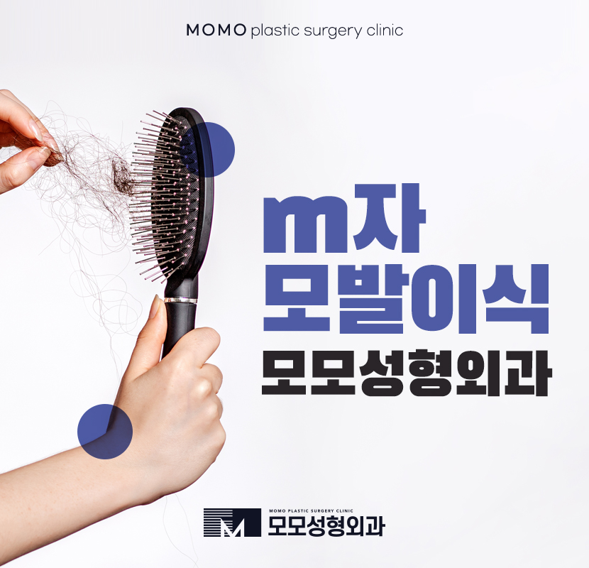 M자모발이식 찾아보는 중이라면 관련 이미지 1