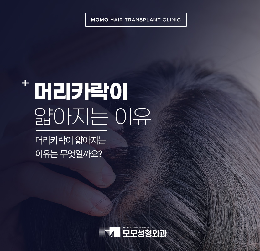 머리카락 얇아짐 발생하는 이유부터 회복 방안 관련 이미지 1