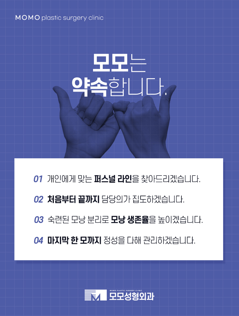 모발이식3000모비용 찾아 보는 것 보다 우선적인 것은 관련 이미지 7